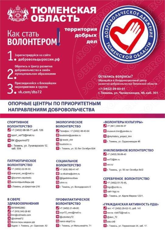 Приложение. Листовка по волонтерству (4694601v1)